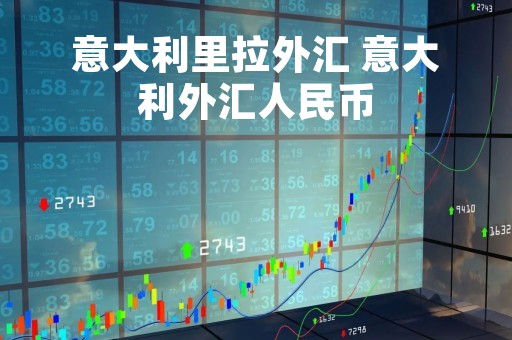 意大利里拉外汇 意大利外汇人民币