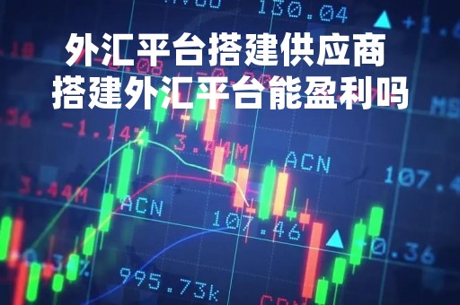 外汇平台搭建供应商 搭建外汇平台能盈利吗