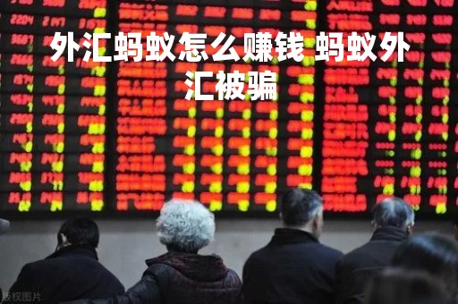 外汇蚂蚁怎么赚钱 蚂蚁外汇被骗
