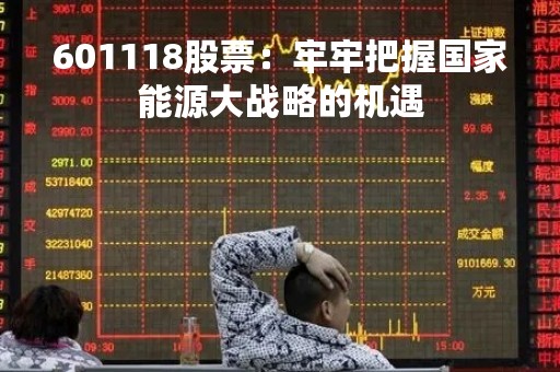 601118股票：牢牢把握国家能源大战略的机遇