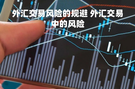 外汇交易风险的规避 外汇交易中的风险