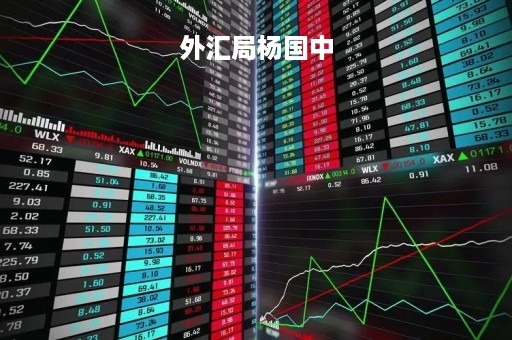 外汇局杨国中