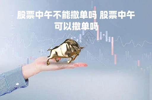 股票中午不能撤单吗 股票中午可以撤单吗