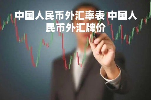 中国人民币外汇率表 中国人民币外汇牌价