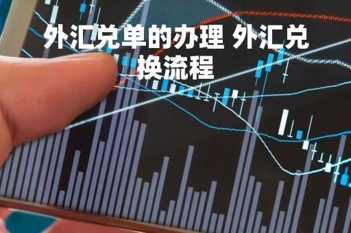 外汇兑单的办理 外汇兑换流程