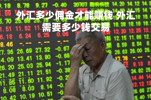 外汇多少佣金才能赚钱 外汇需要多少钱交易