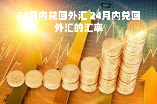 24月内兑回外汇 24月内兑回外汇的汇率