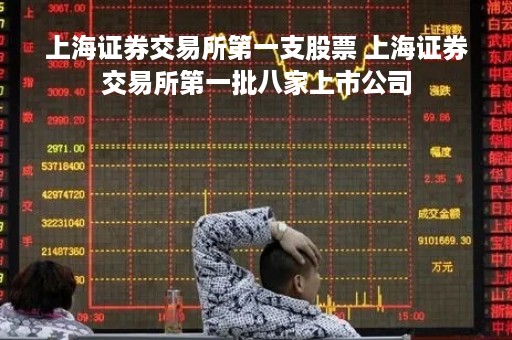 上海证券交易所第一支股票 上海证券交易所第一批八家上市公司