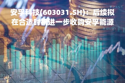 安孚科技(603031.SH)：后续拟在合适时机进一步收购安孚能源、亚锦科技及南孚电池的少数股东股权