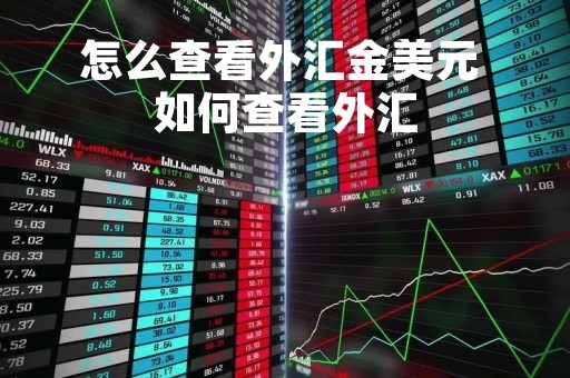 怎么查看外汇金美元 如何查看外汇