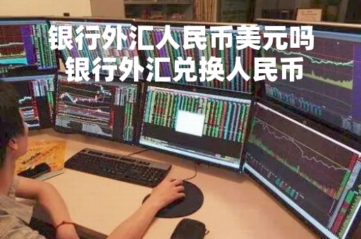 银行外汇人民币美元吗 银行外汇兑换人民币