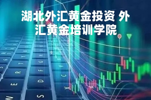 湖北外汇黄金投资 外汇黄金培训学院