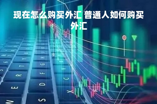 现在怎么购买外汇 普通人如何购买外汇