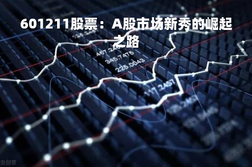 601211股票：A股市场新秀的崛起之路