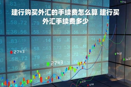 建行购买外汇的手续费怎么算 建行买外汇手续费多少