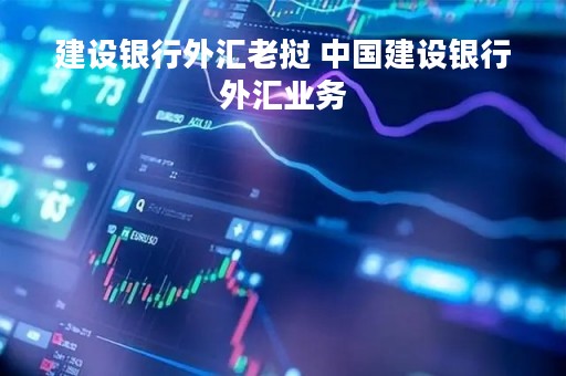 建设银行外汇老挝 中国建设银行外汇业务