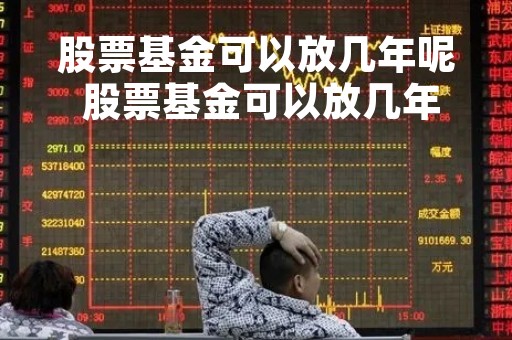 股票基金可以放几年呢 股票基金可以放几年呢怎么算
