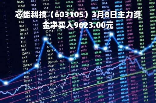 芯能科技（603105）3月8日主力资金净买入9623.00元