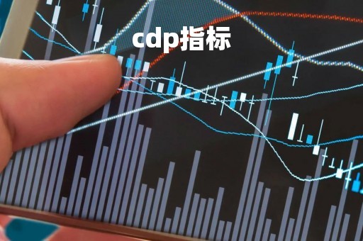 cdp指标