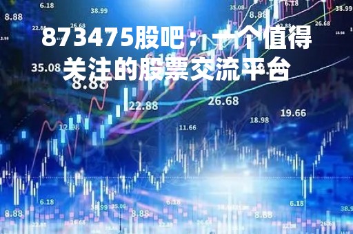 873475股吧：一个值得关注的股票交流平台