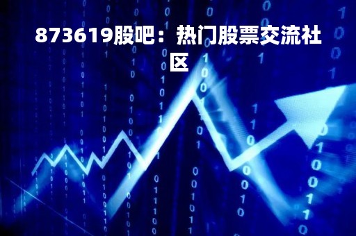 873619股吧：热门股票交流社区