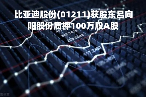 比亚迪股份(01211)获股东吕向阳股份质押100万股A股