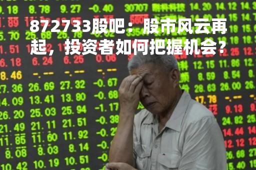 872733股吧：股市风云再起，投资者如何把握机会？