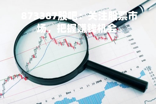  873387股吧：关注股票市场，把握赚钱机会 