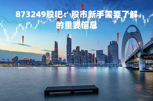 873249股吧：股市新手需要了解的重要信息