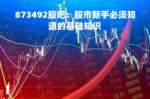873492股吧：股市新手必须知道的基础知识