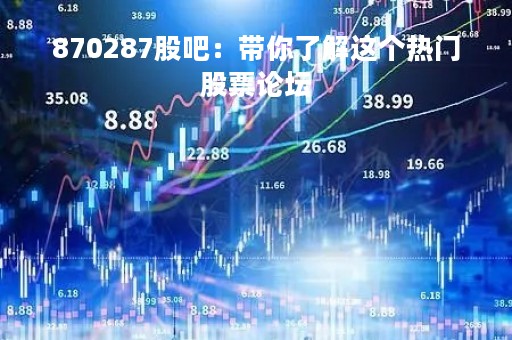 870287股吧：带你了解这个热门股票论坛