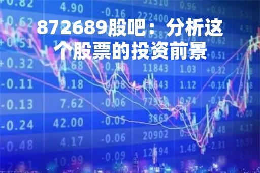 872689股吧：分析这个股票的投资前景