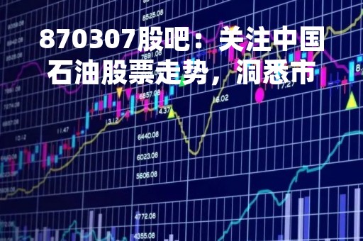 870307股吧：关注中国石油股票走势，洞悉市场变化