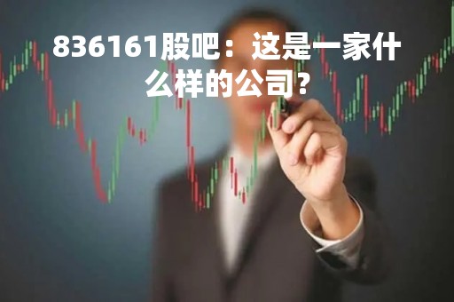 836161股吧：这是一家什么样的公司？