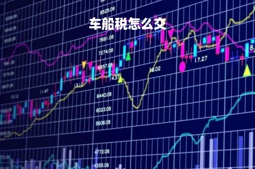 车船税怎么交