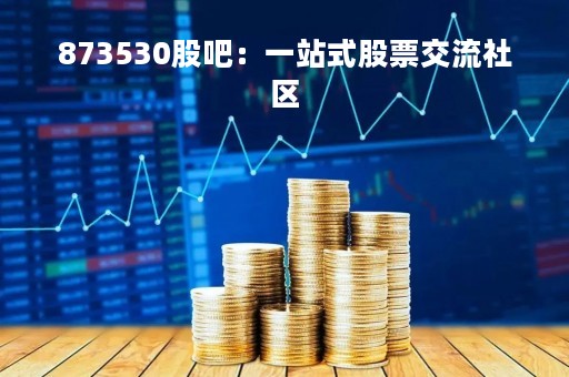 873530股吧：一站式股票交流社区