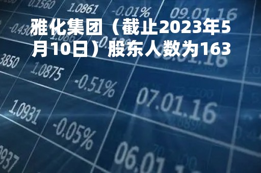雅化集团（截止2023年5月10日）股东人数为163000户 环比减少0.61%