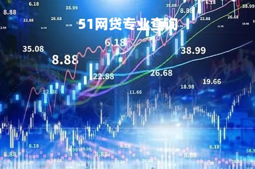 51网贷专业查询