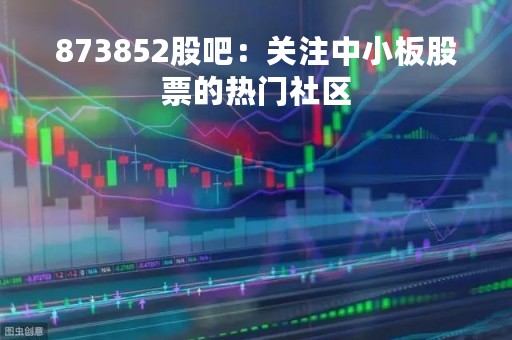 873852股吧：关注中小板股票的热门社区