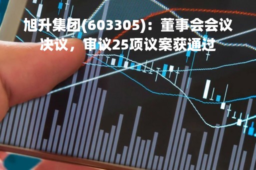 旭升集团(603305)：董事会会议决议，审议25项议案获通过