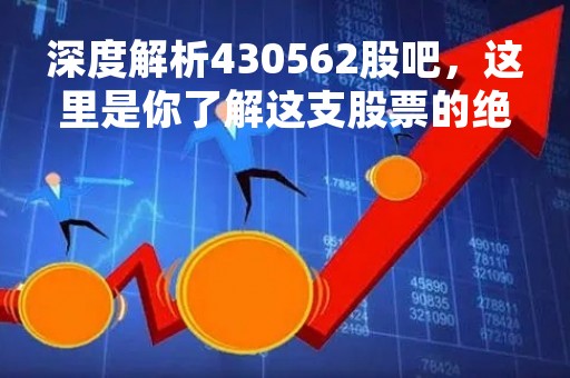 深度解析430562股吧，这里是你了解这支股票的绝佳选择！