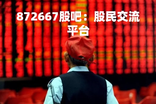 872667股吧：股民交流平台