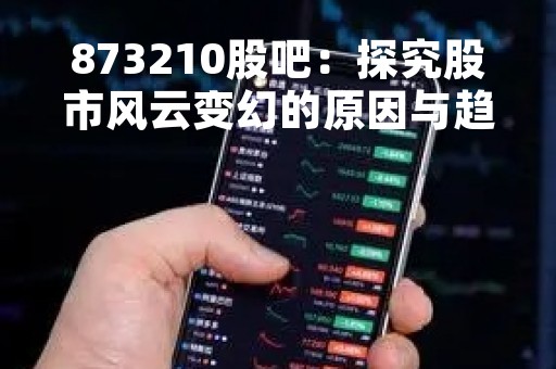 873210股吧：探究股市风云变幻的原因与趋势