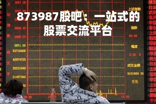 873987股吧：一站式的股票交流平台