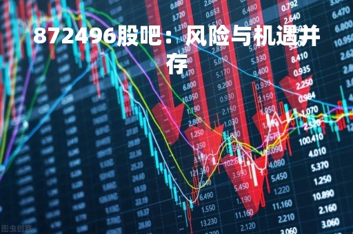 872496股吧：风险与机遇并存