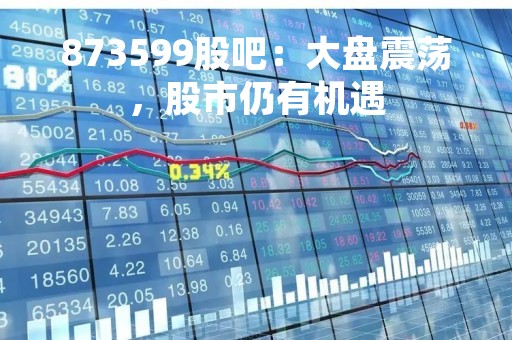 873599股吧：大盘震荡，股市仍有机遇