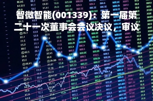 智微智能(001339)：第一届第二十一次董事会会议决议，审议2项议案获通过