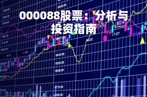000088股票：分析与投资指南