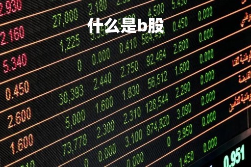 什么是b股
