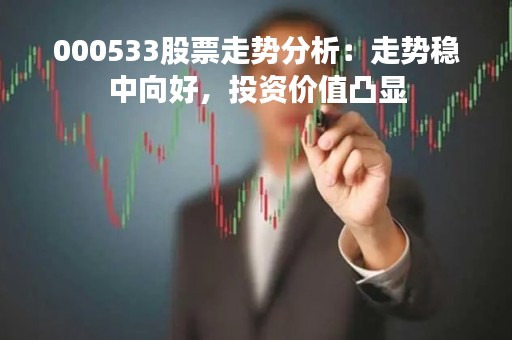 000533股票走势分析：走势稳中向好，投资价值凸显